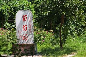 Grape Valley in Turpan 
